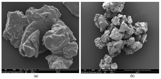 Microscopía electrónica de barrido de cocristalizado de pulpa de guayaba (a) y jugo de maracuyá (b)