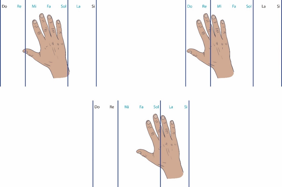 Posicionamiento de la palma de la mano que permite la distribución de las notas para las regiones de octavas