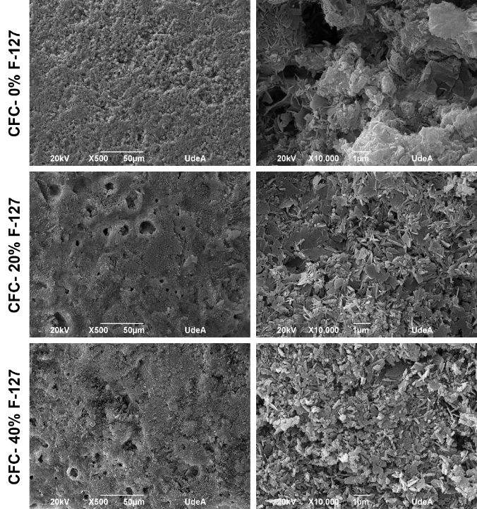 Micrografías MEB luego del ensayo de degradación acelerada