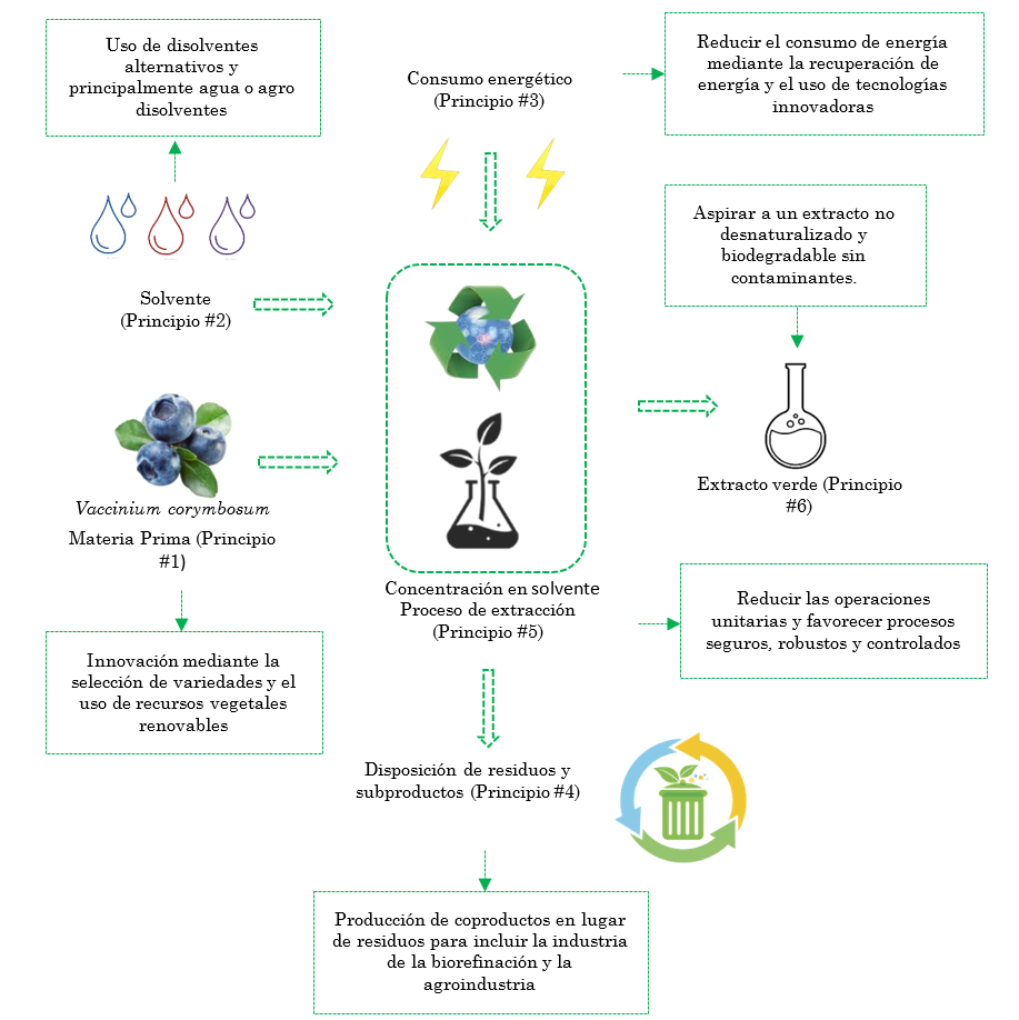 Representación gráfica de acuerdo con los 6 principios de la extracción verde