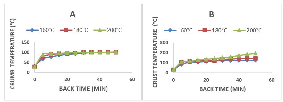 Temperature profile of the crumb (A) and crust (B).