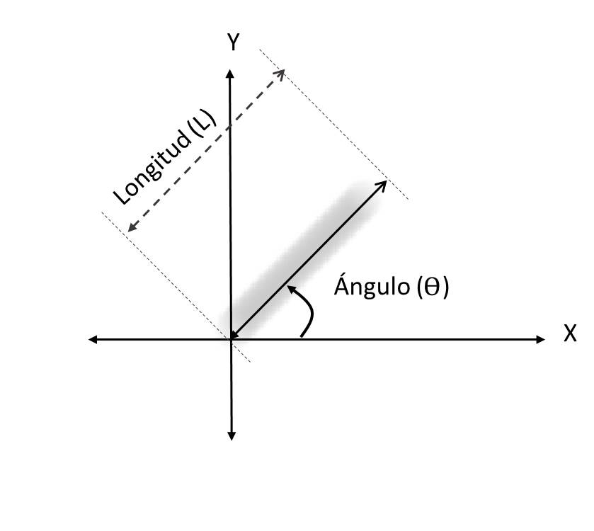 Diagrama
ilustrativo del desenfoque lineal por movimiento. 